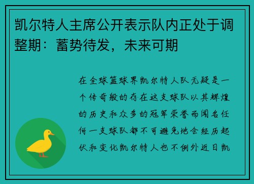 凯尔特人主席公开表示队内正处于调整期：蓄势待发，未来可期